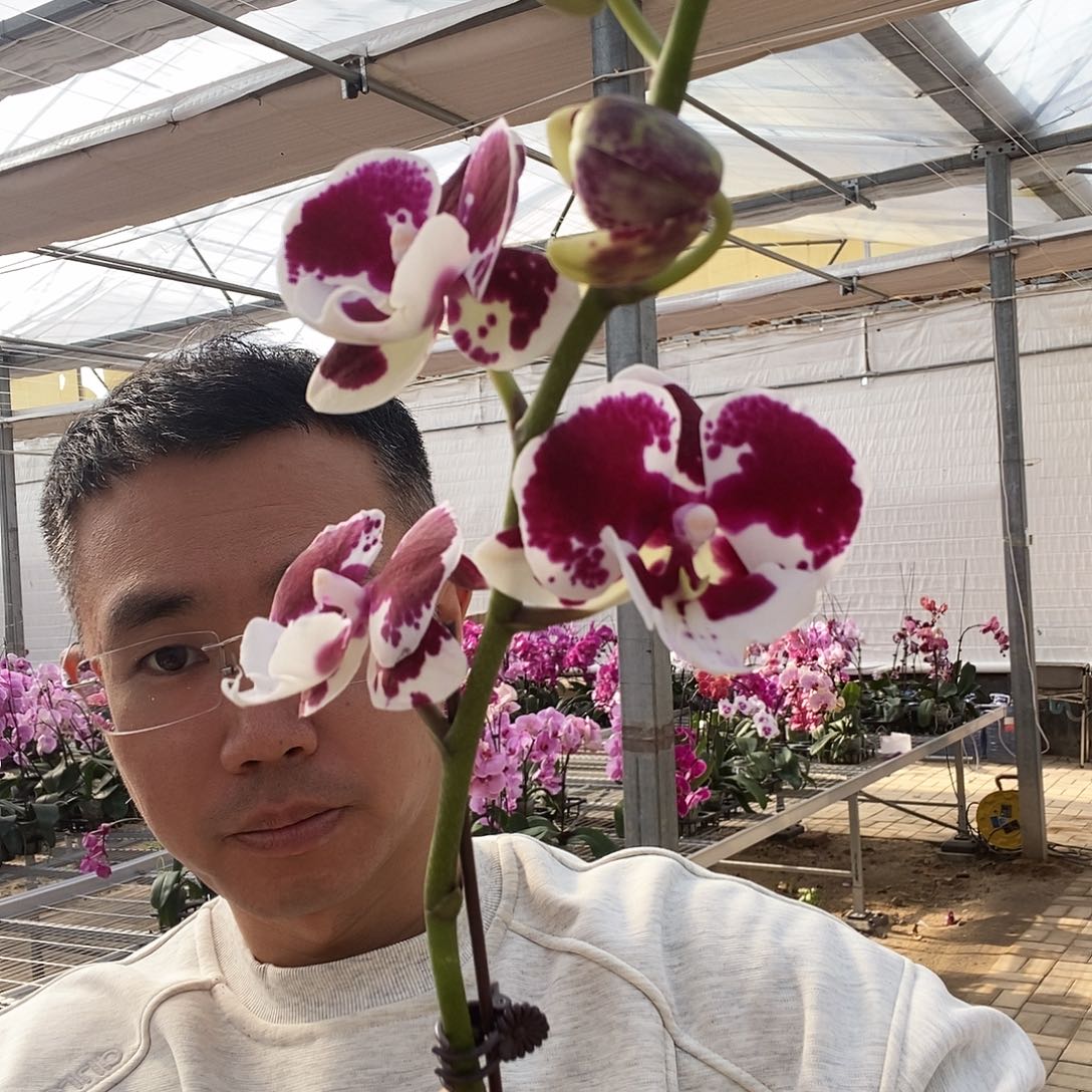 完全开放一千零一夜瑕疵消苞