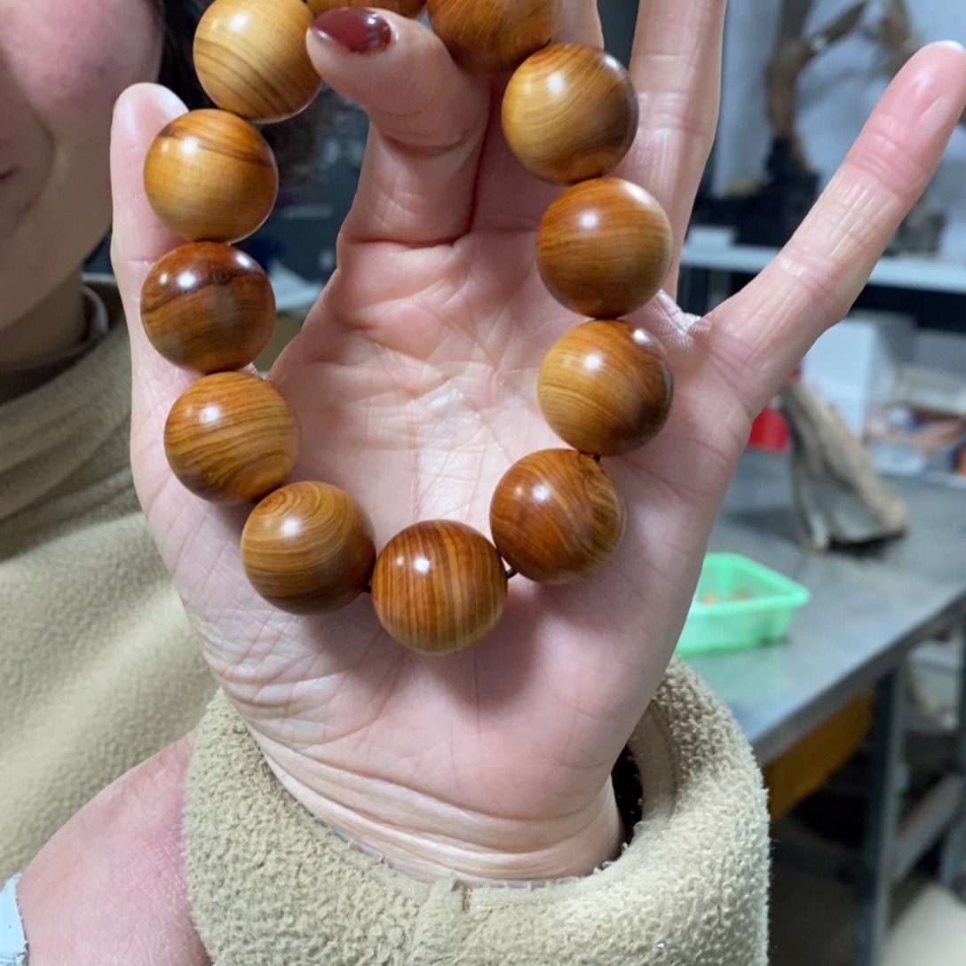 香榧木v我们都是好孩子 萨鲁法尔大王