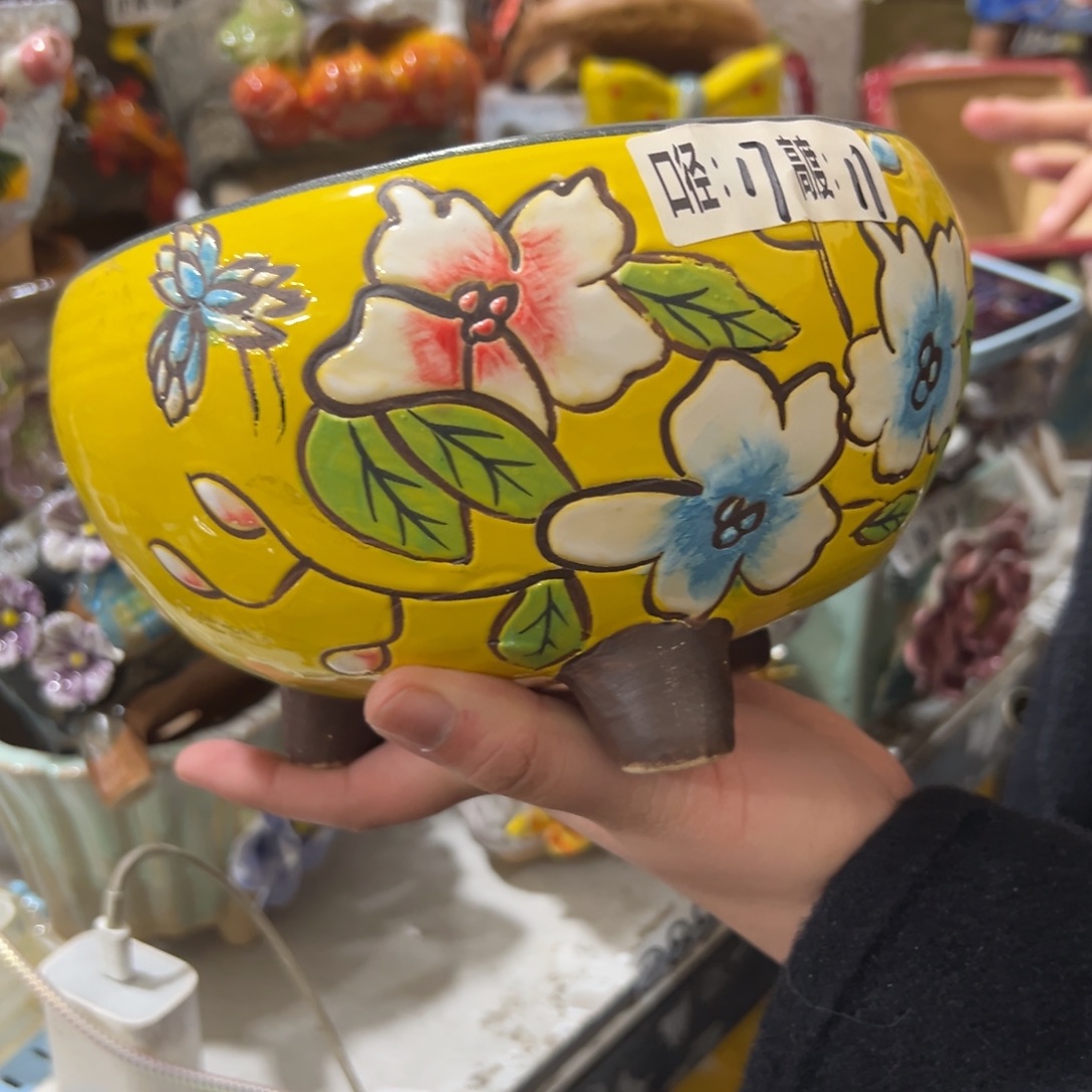 花盆，拍满20发货，退款拉黑