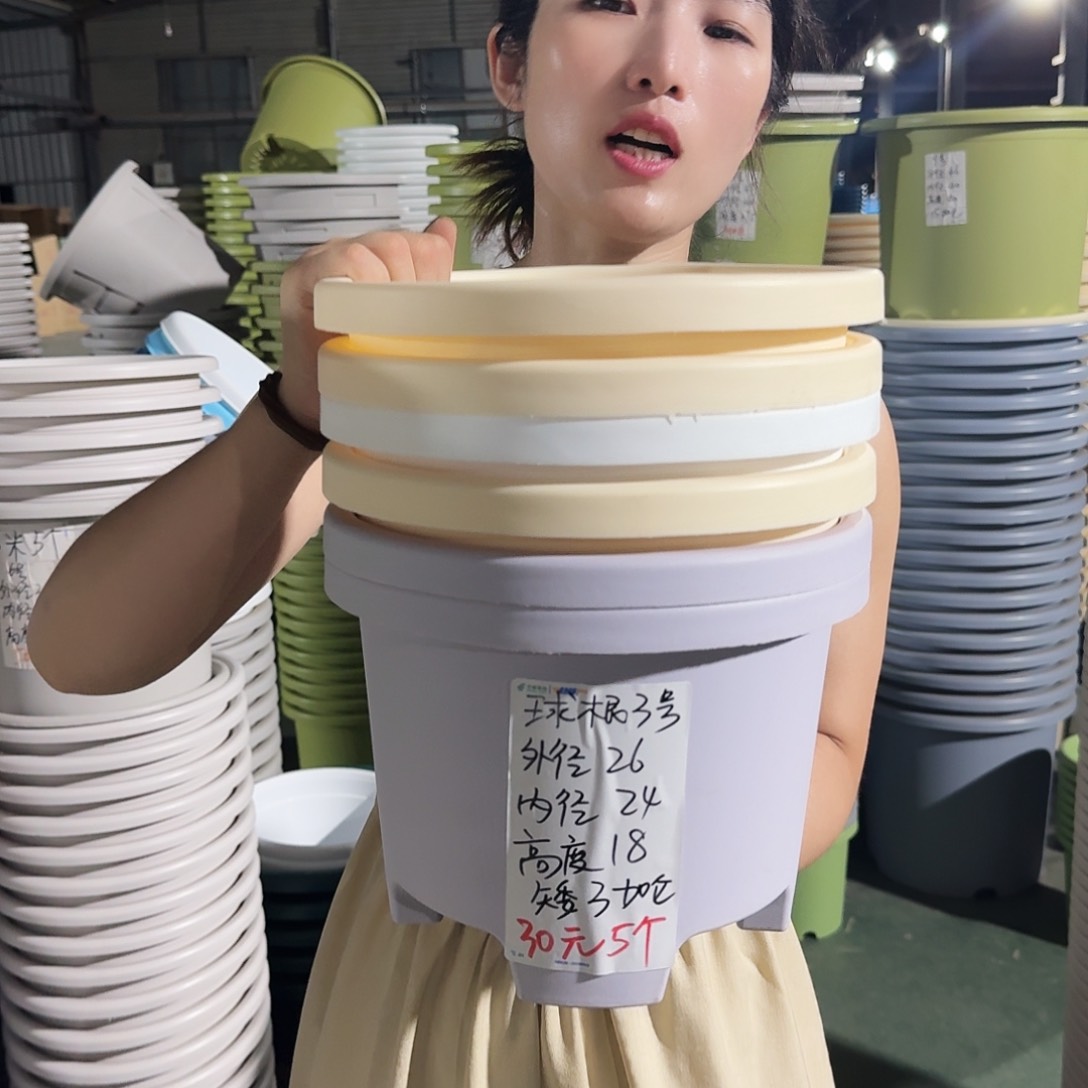 球根3#无拖灰白6个微瑕