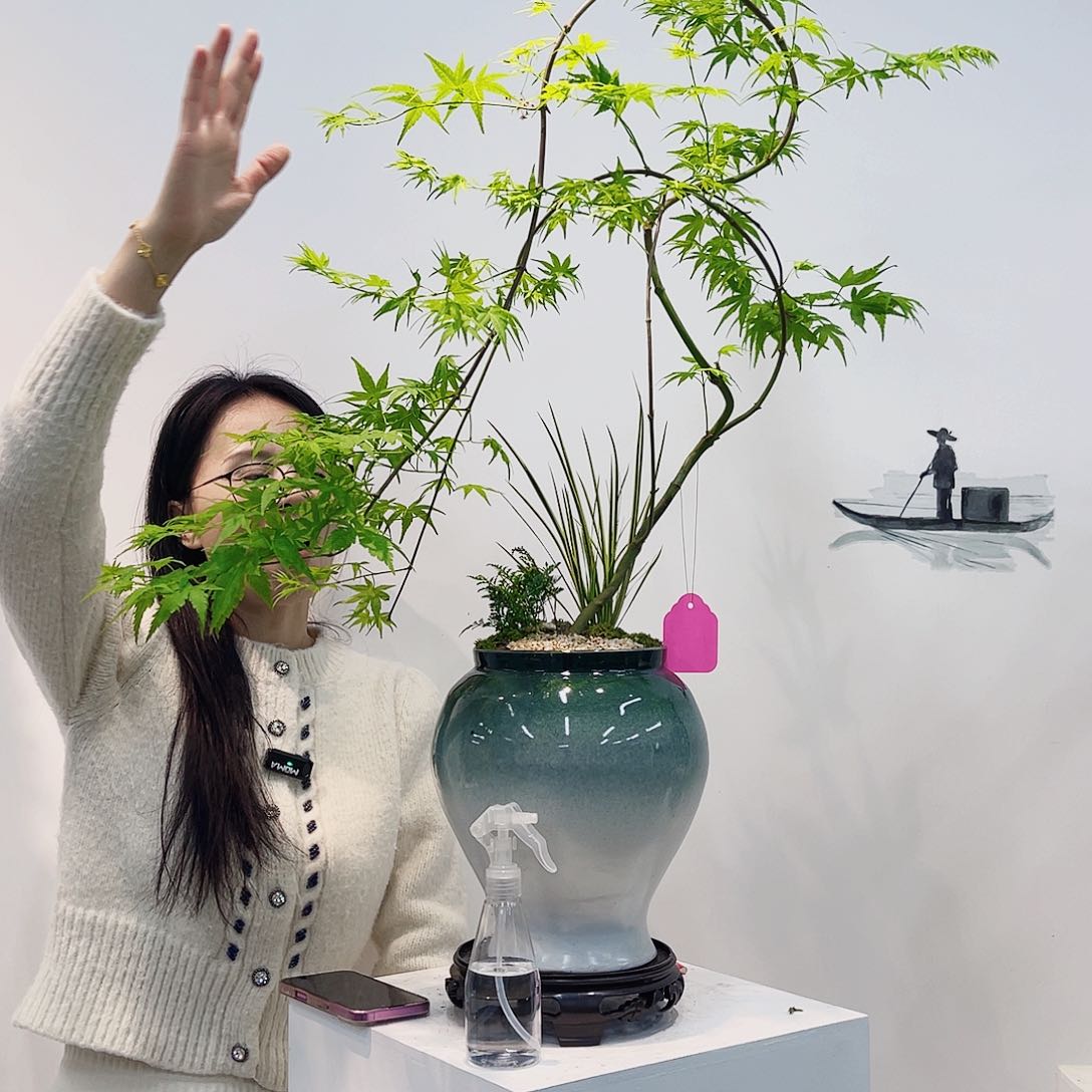 高端绿植一物一拍