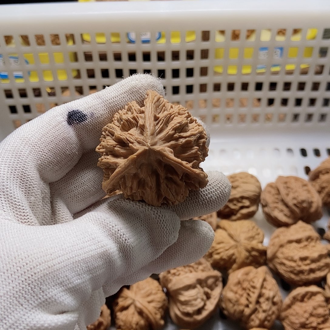 *****吊坠文玩核桃奔奔全家福