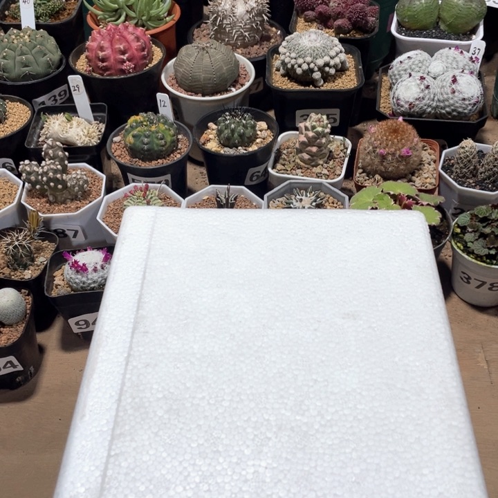 0度以下植物保温箱