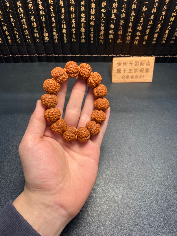 新品金刚满肉精灵梅花（9号）