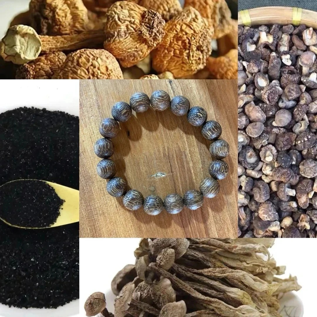 【土特产菌/阿龙专属91】重量13g