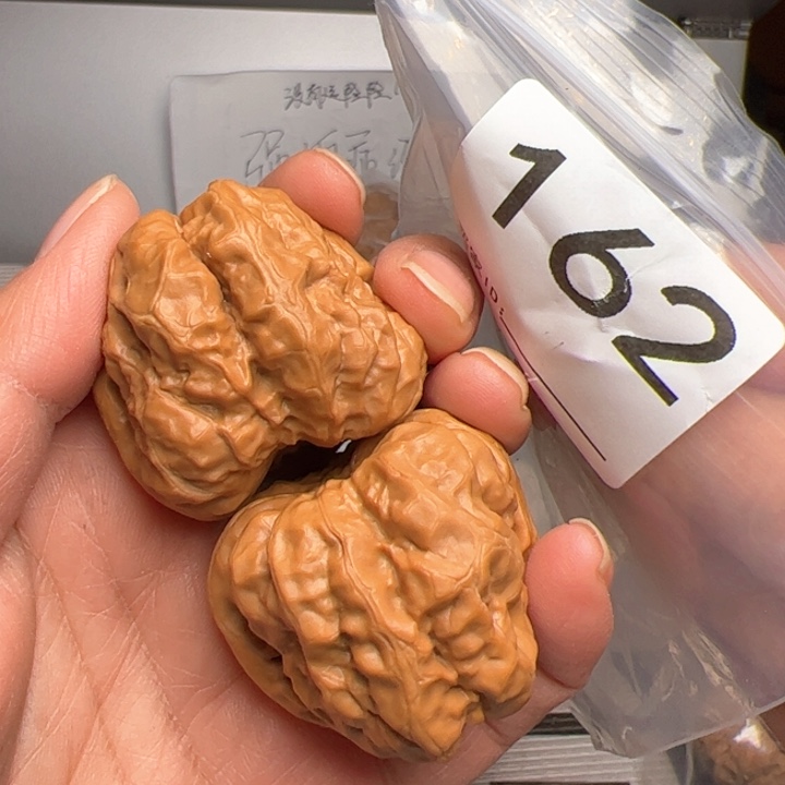 核桃162号边40尺肚45尺