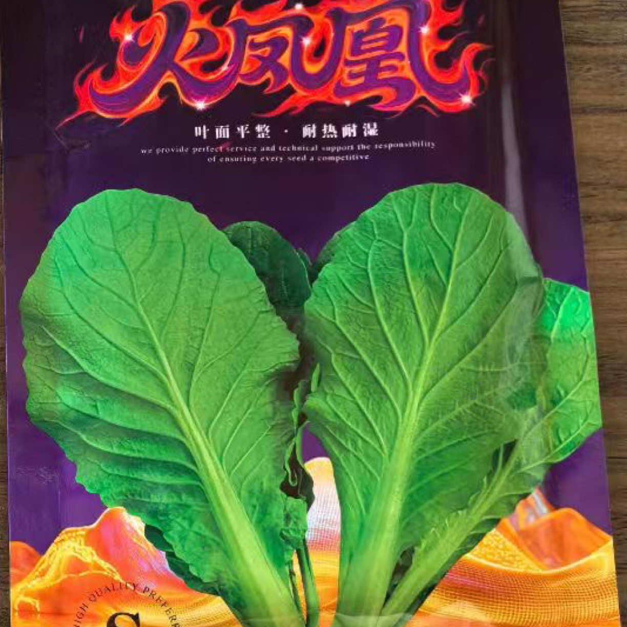 火凤凰快菜 毛白菜 颗形板正 耐热耐湿