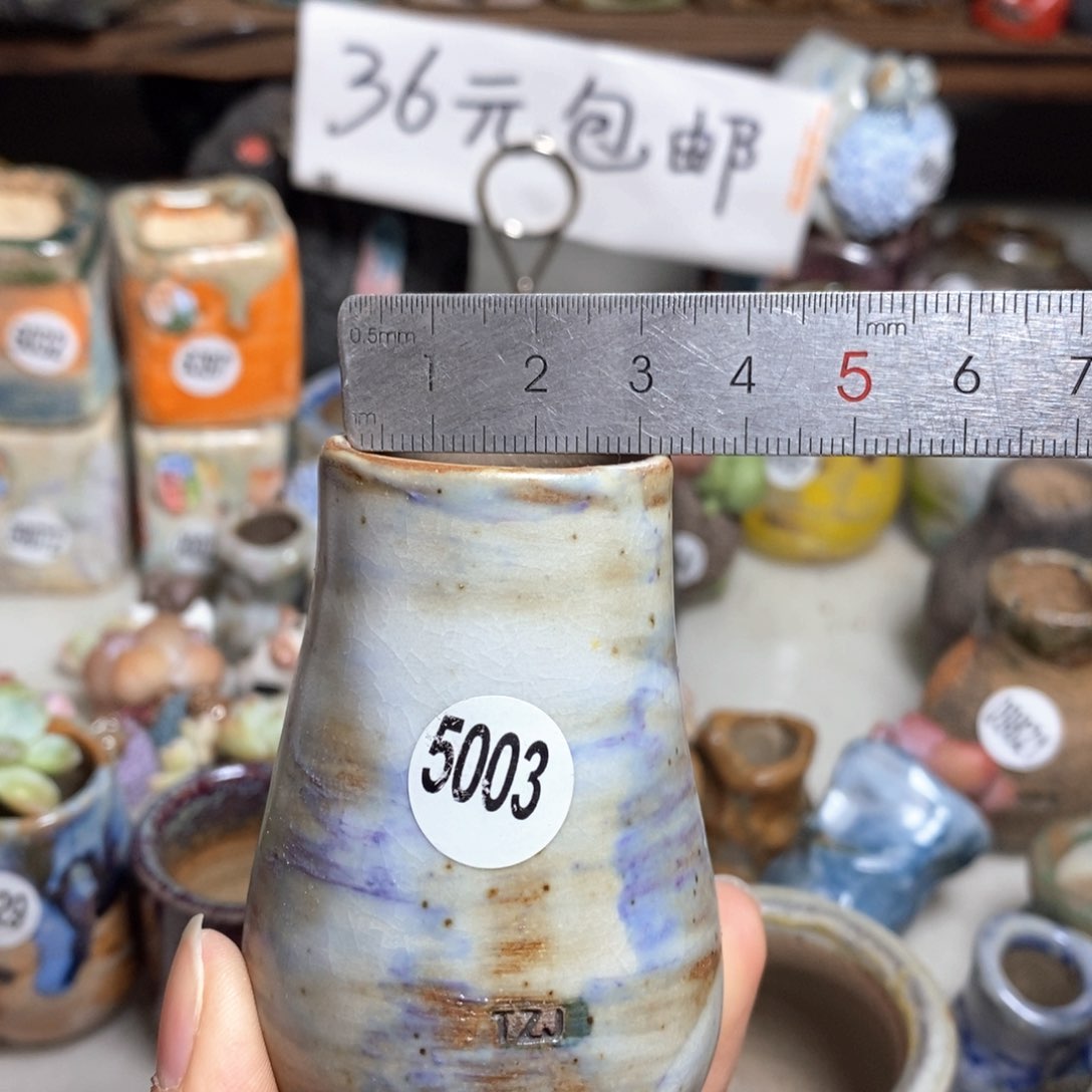 花盆拍5送一个小礼物