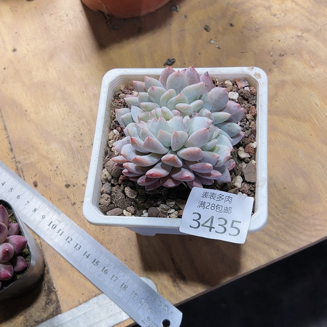 9号?***?我们的确是一3435