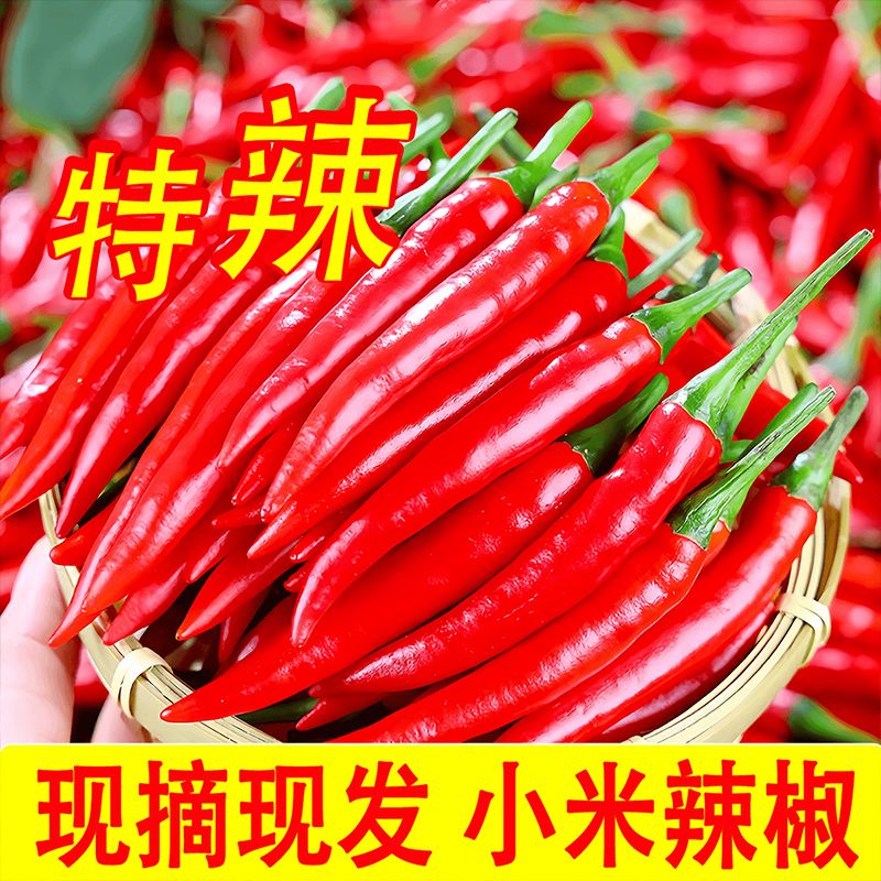 【降价啦!】现摘特辣广西小米辣椒云南朝天椒辣鲜椒新鲜特辣红辣椒