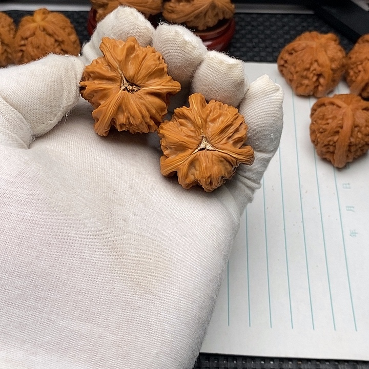 核桃手串/手链白狮子8