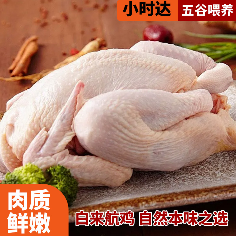 提前活鸡宰杀白条百来航非冻货有油有蛋