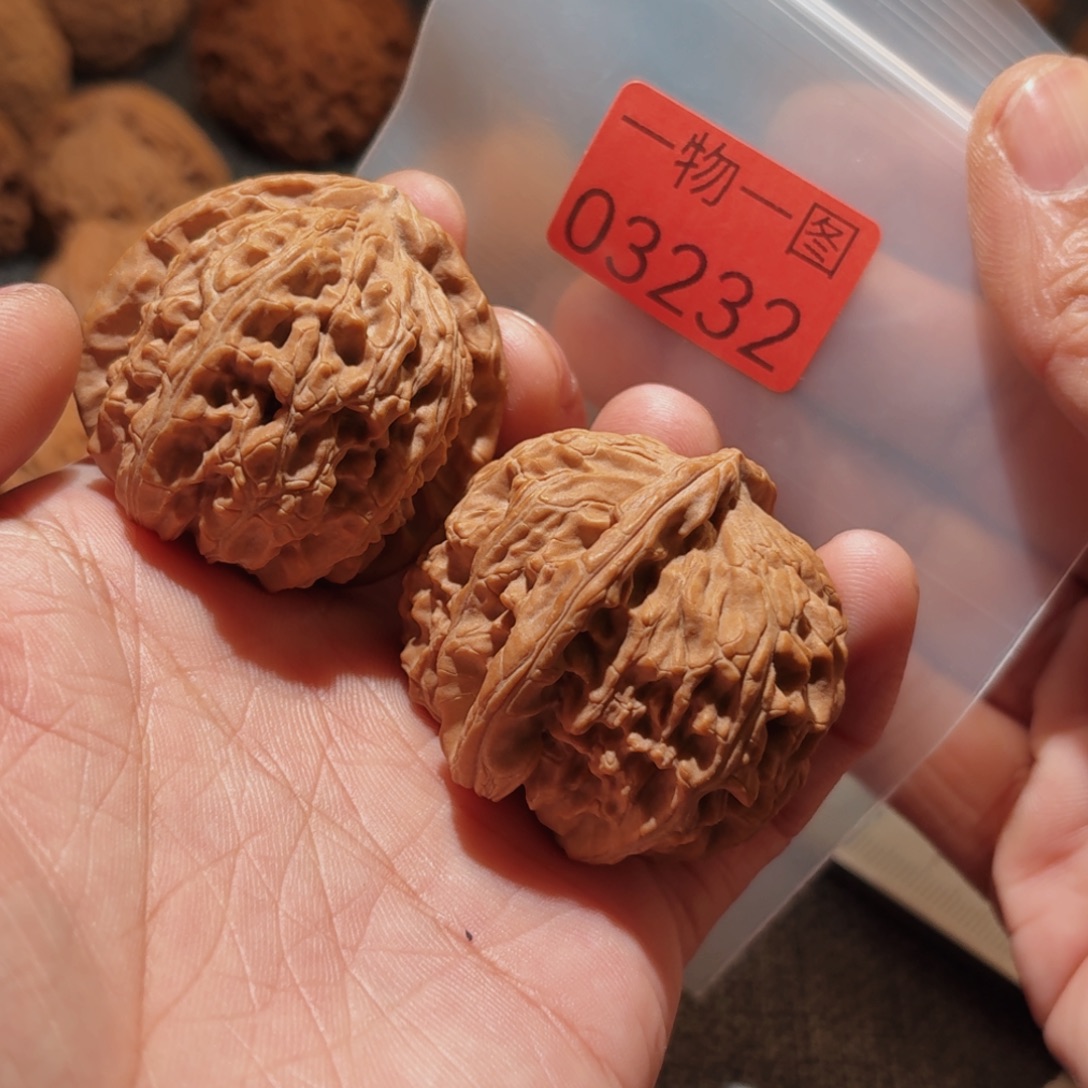 文玩核桃把件白狮子