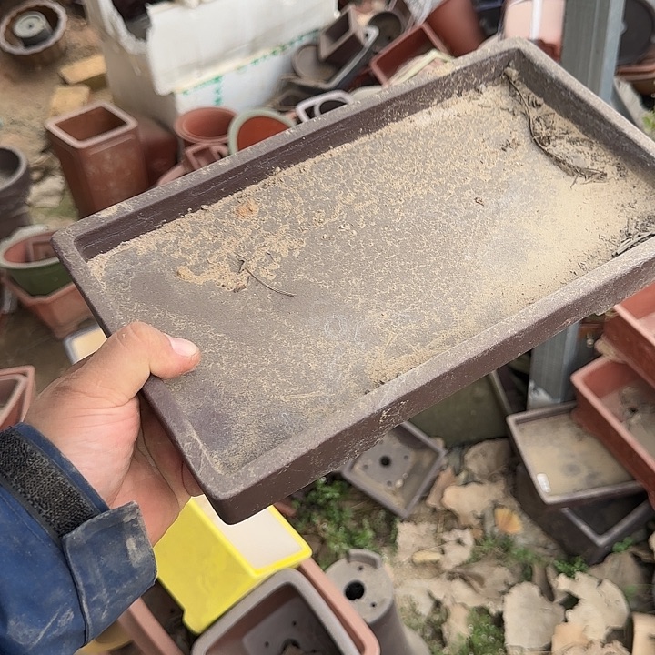 不说算什么呀亲爱的在那你干吧明天再说哇别等