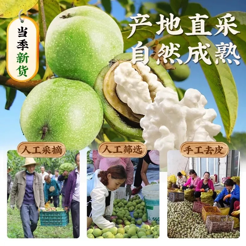 【鲜核桃】大凉山老树新鲜湿核桃去青皮现摘现发孕妇水果