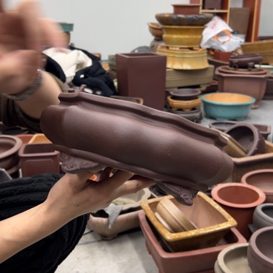 紫砂花盆里放的东西也