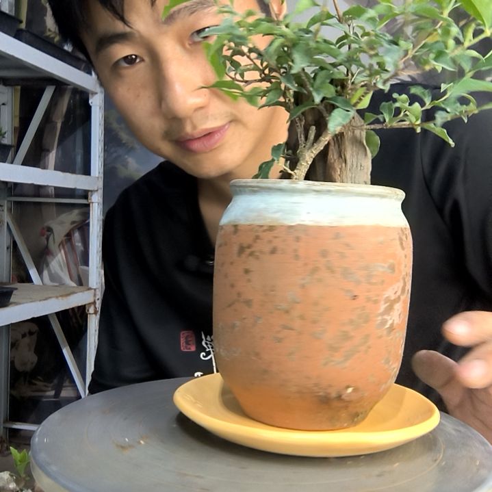 卜**丝中青园艺一物一拍120