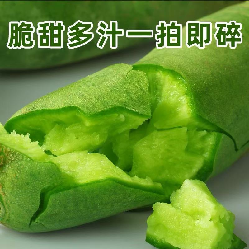 【树品源】天津水果萝卜天星2号 新鲜脆甜多汁产地直发生吃爽口