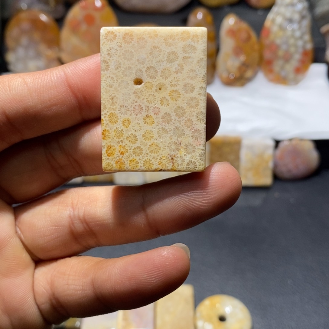 【闪购商品】硅化玉颈饰未镶嵌