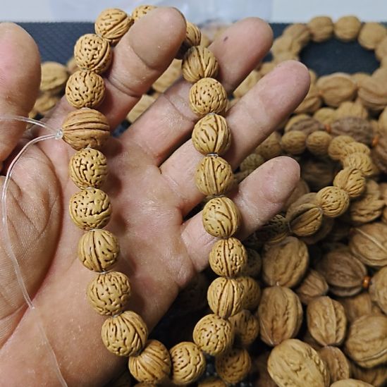 天***角木质类纯野生山核桃