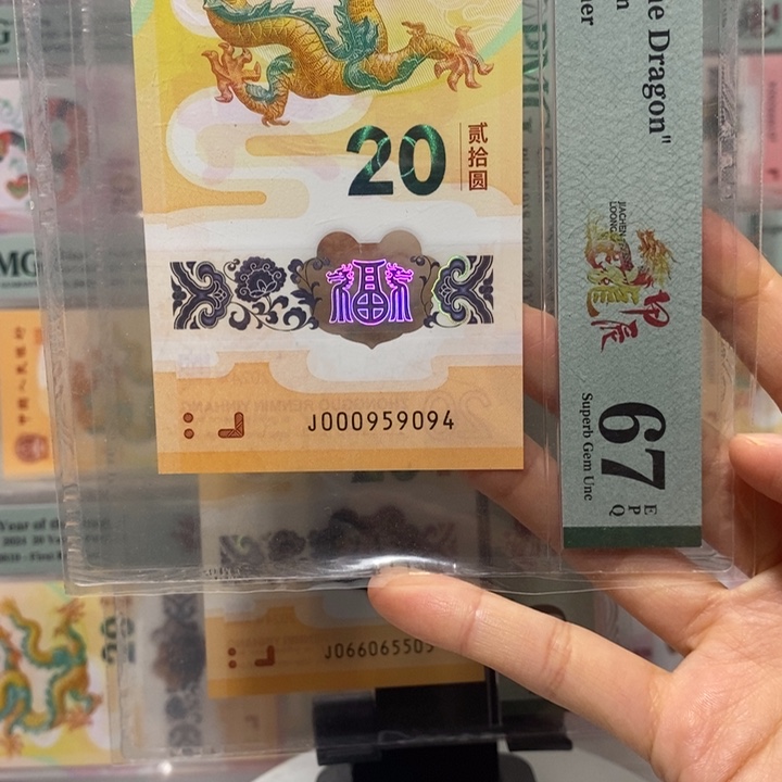 小龙钞小司令95头