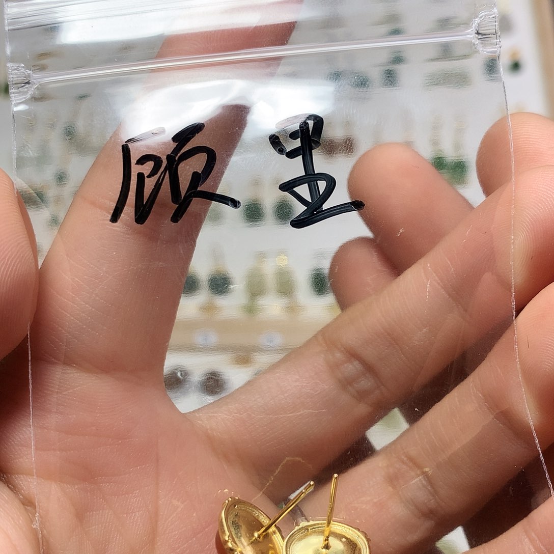 银S925镀金镶嵌南红玛瑙耳饰顾*
