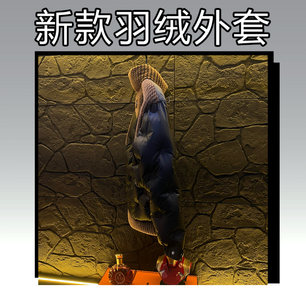 【25855】202590白鸭绒高奢羽绒服保暖立领男款厚款外套冬季新款