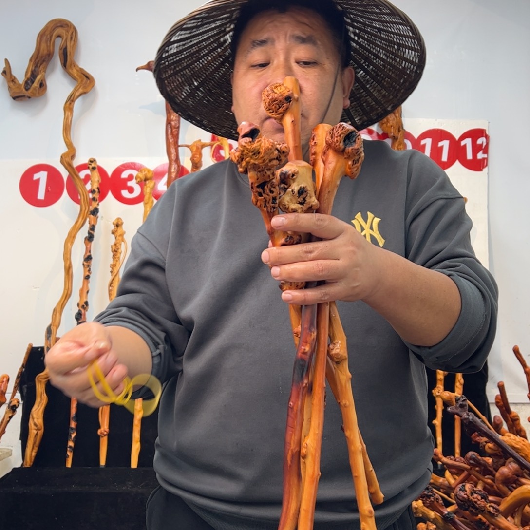 黑果木其他黑果木590