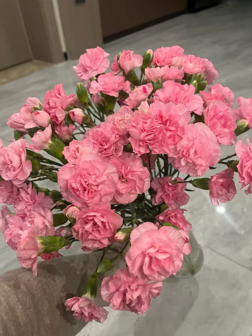 【一件包邮】粉色多头康乃馨20支   云南基地鲜花 家养 水养