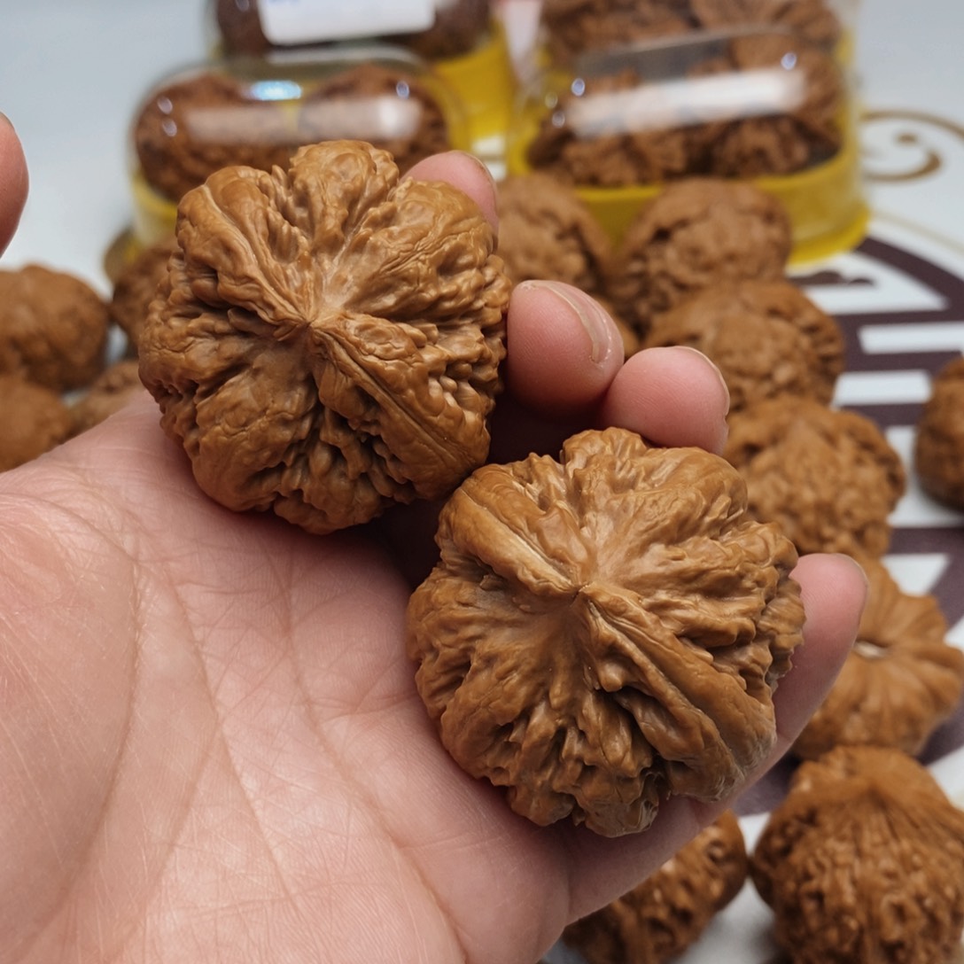 文玩核桃吊坠霸王龙45尺全品