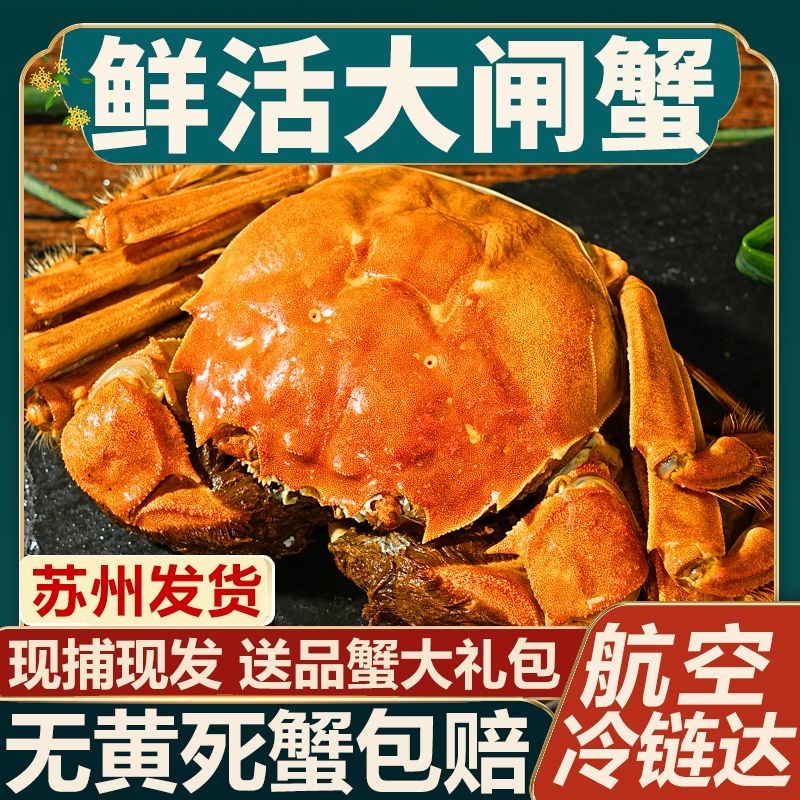 【活蟹】苏州精品大闸蟹公蟹5.1-4.8两+母蟹4.1-3.8两6/8只鲜活现货