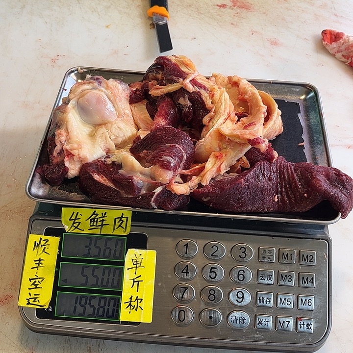 ****U18中国大陆包装但法国别别扭扭