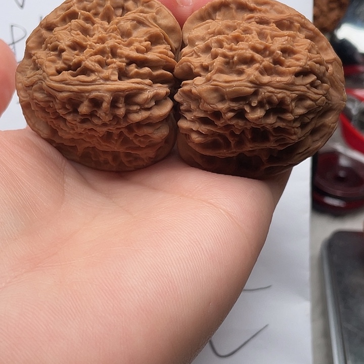 木质44大三角 尖有黄大克重