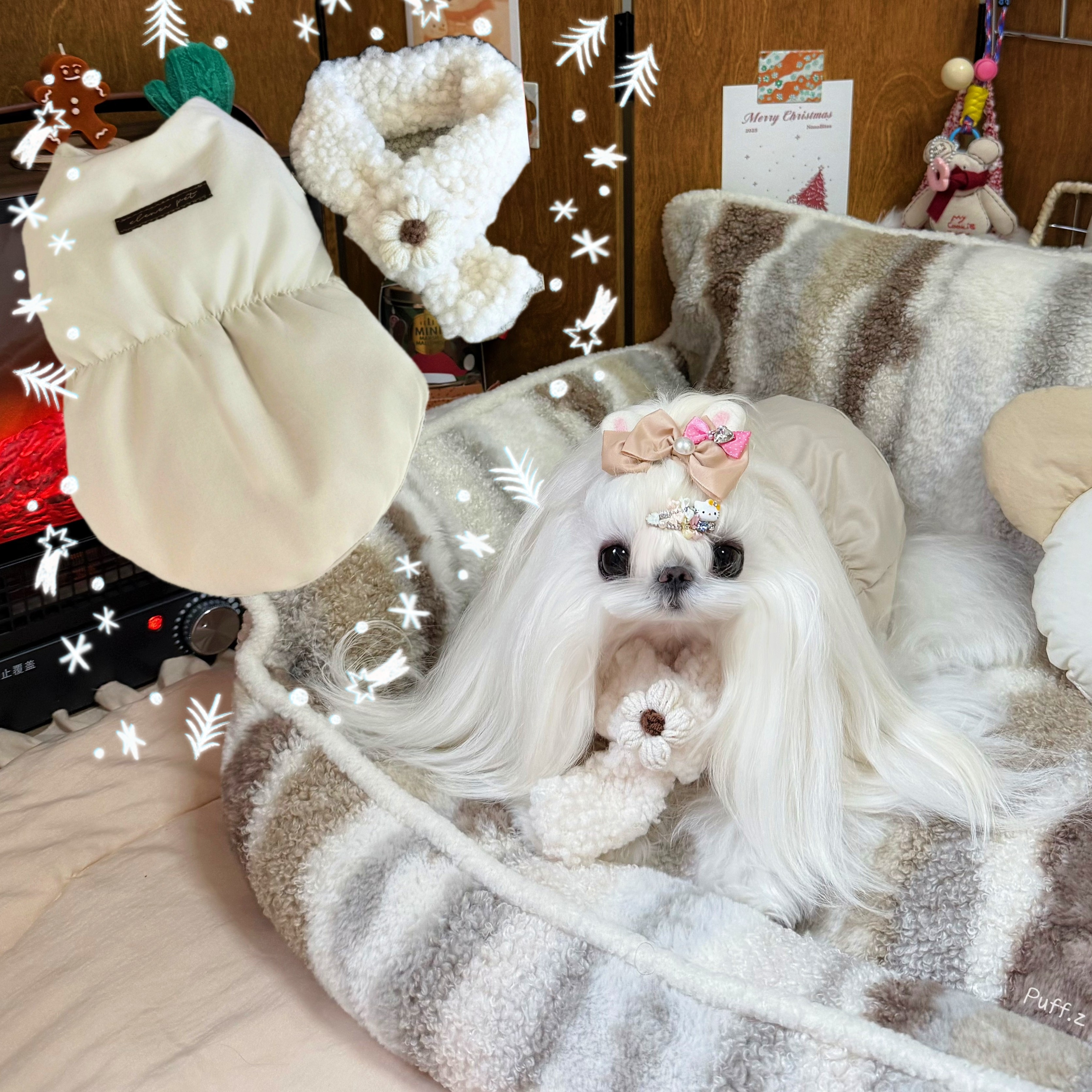 「冬日恋歌」羽绒系列  西施犬马尔济斯比熊（95白鸭绒）