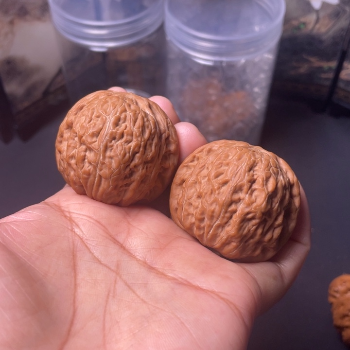 拿***人文玩核桃把件39铁锤