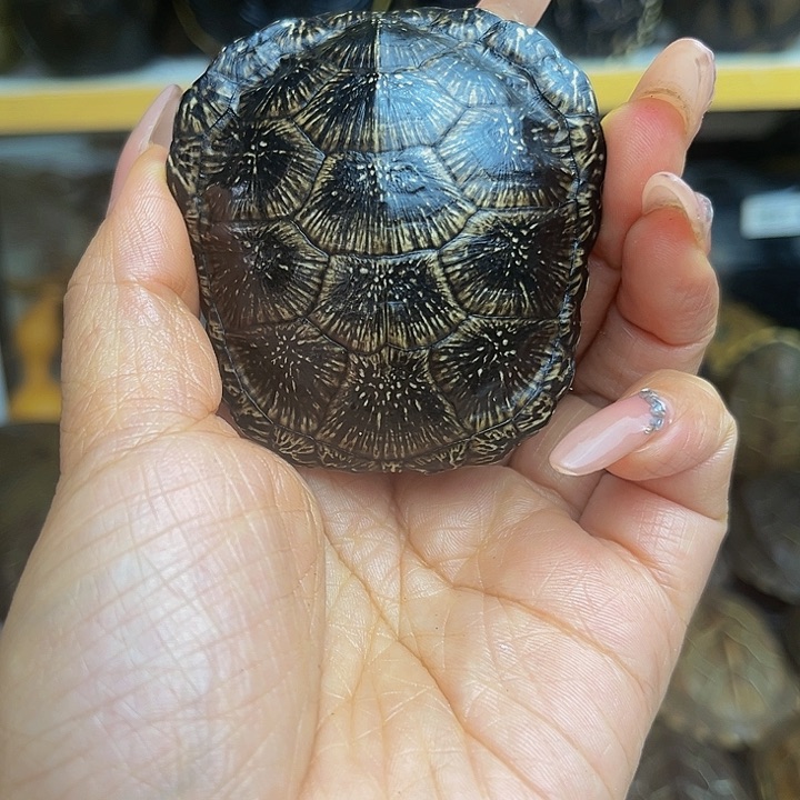 【闪购商品】有机玻璃✨****