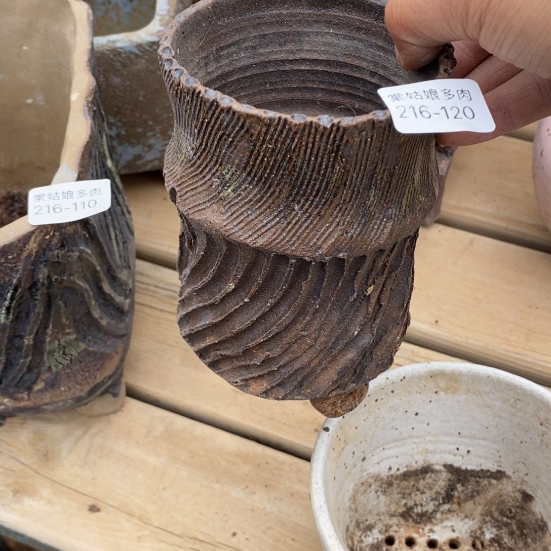 红陶排*120号多肉盆一个呀