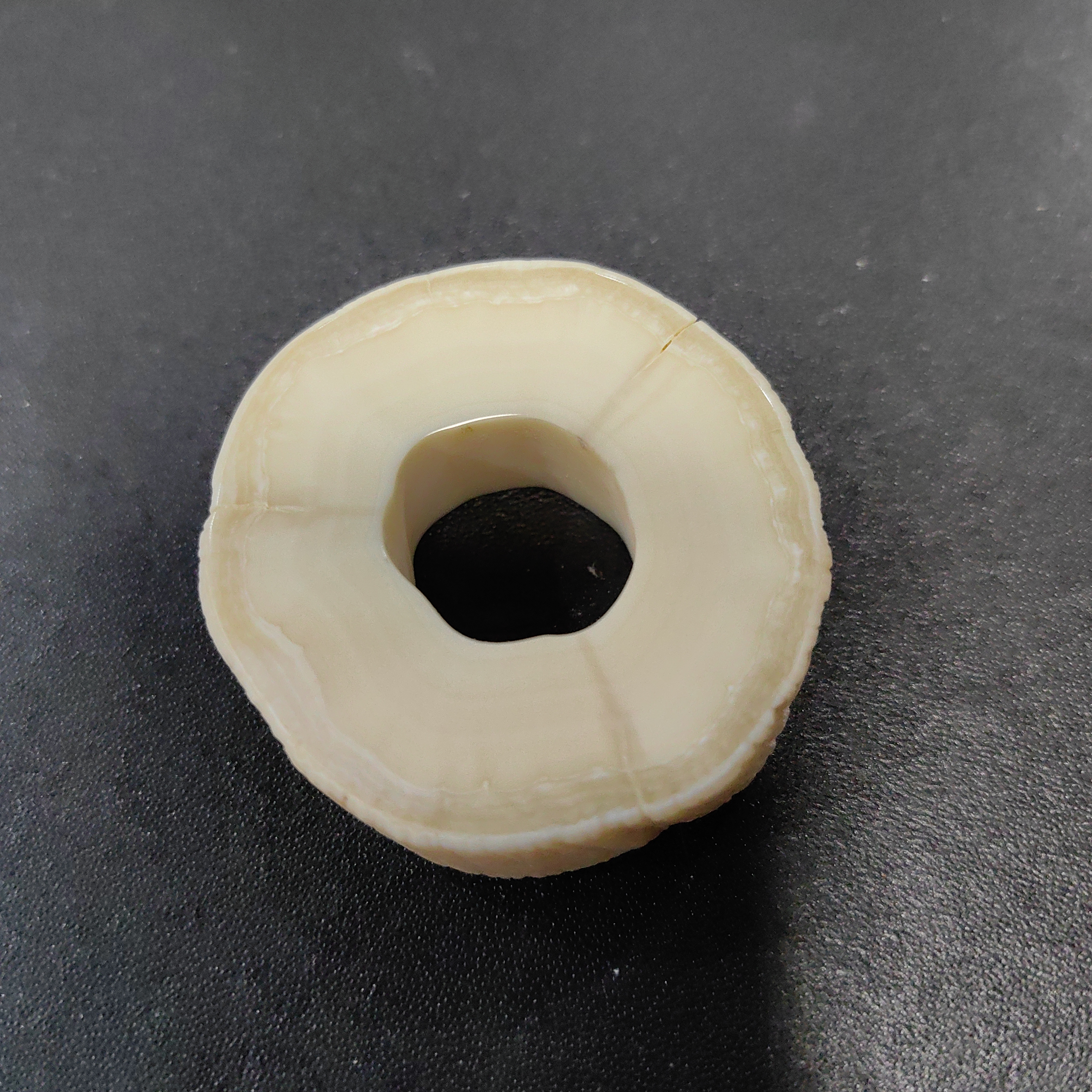 猛犸猛犸独饼子  WT105