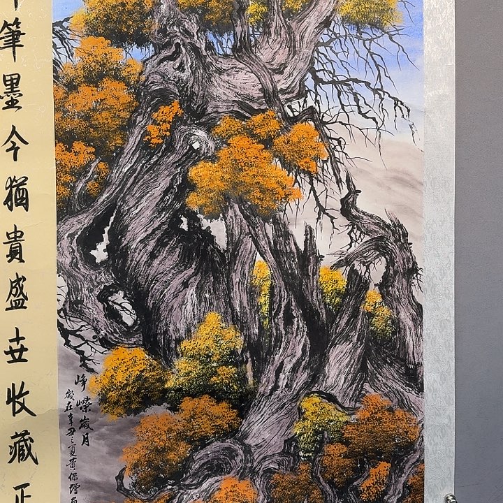 国画书法作品多次参加全国