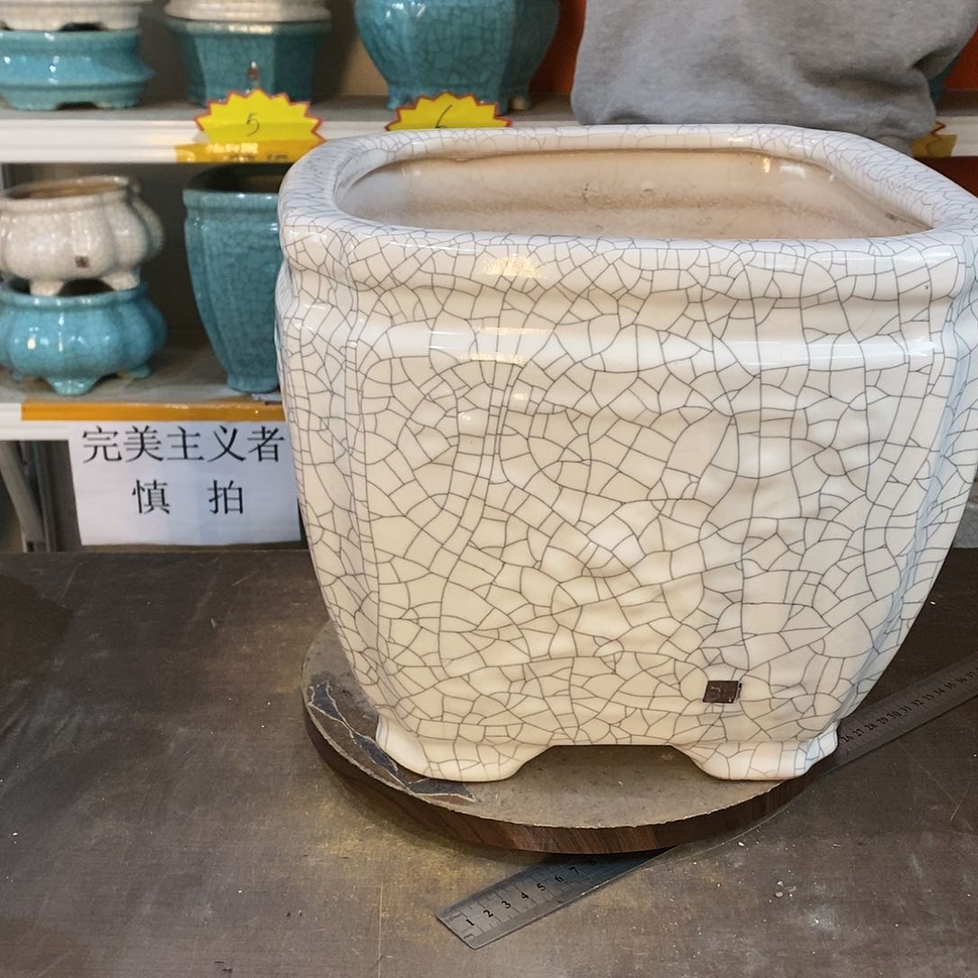 小**6瑕疵花盆花盆里的花