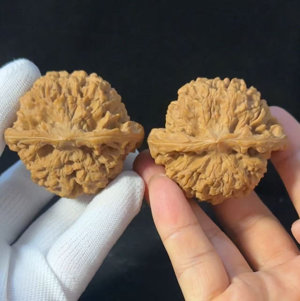 矮桩龙鼎狮子头文玩核桃