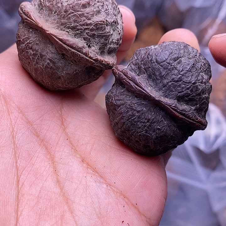 把件文玩核桃   57