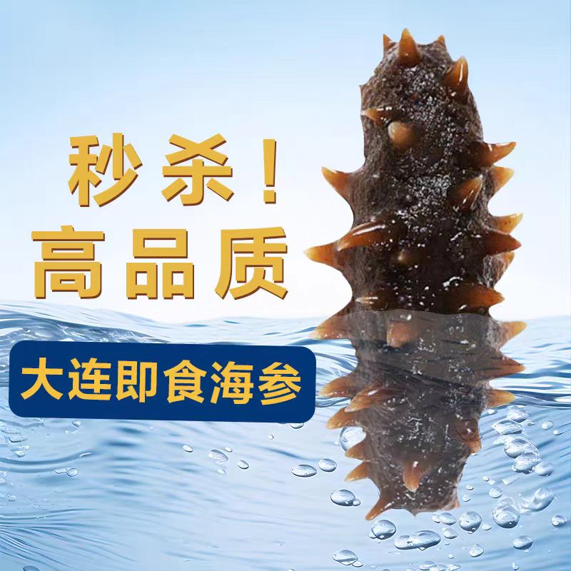 【现挑现装】大连深海鲜食辽刺参单支真空包装免泡发Q弹有嚼劲 