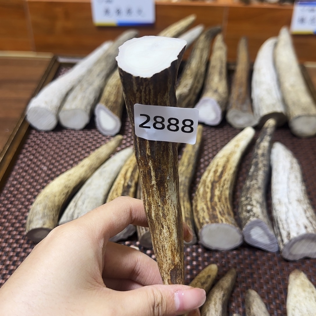 手串/手链鹿骨角尖2888