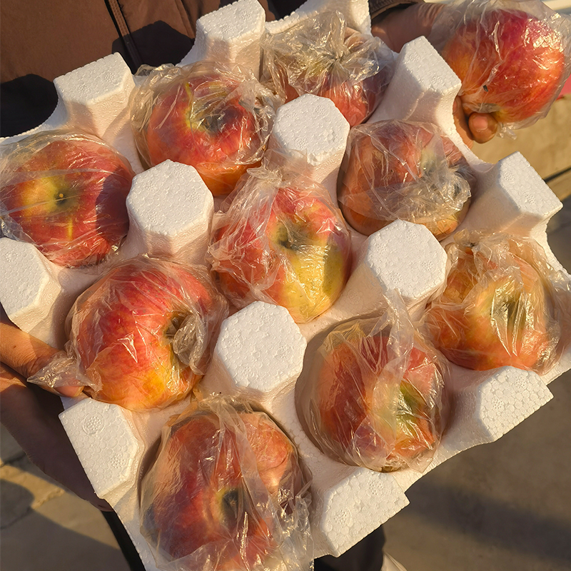 山西运城红富士苹果新鲜水果应季丑苹果脆甜多汁长枝膜袋非冰糖心