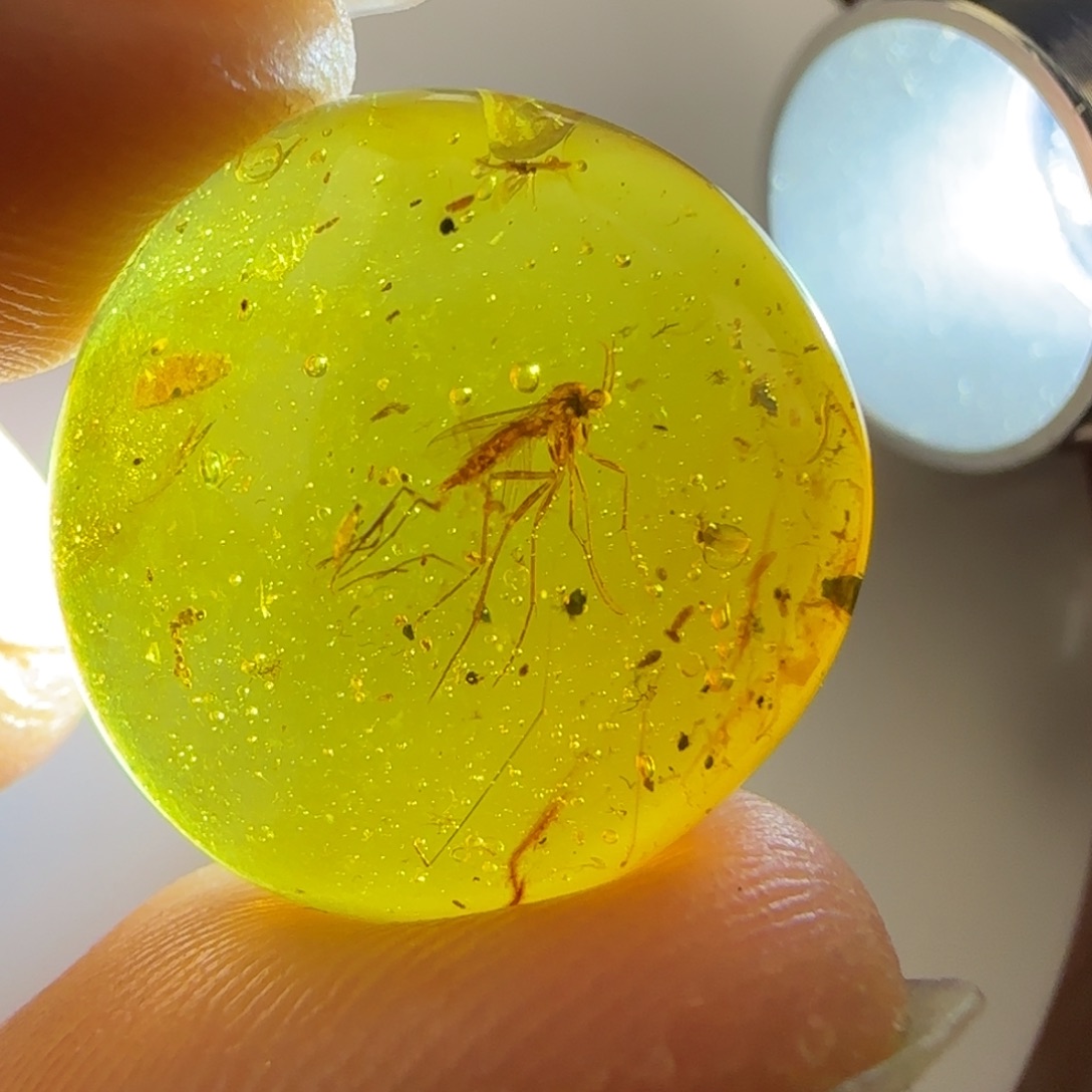 琥珀裸石未镶嵌4蚊子