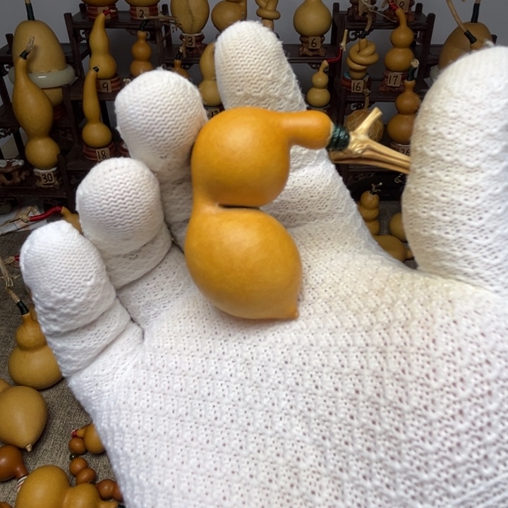 Y***蚂蚁葫芦，三点一线