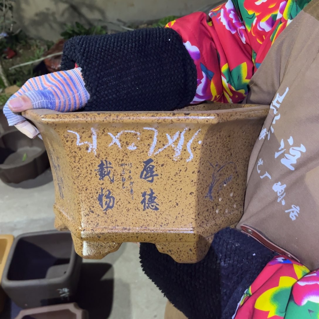 紫砂花盆盆景艺术