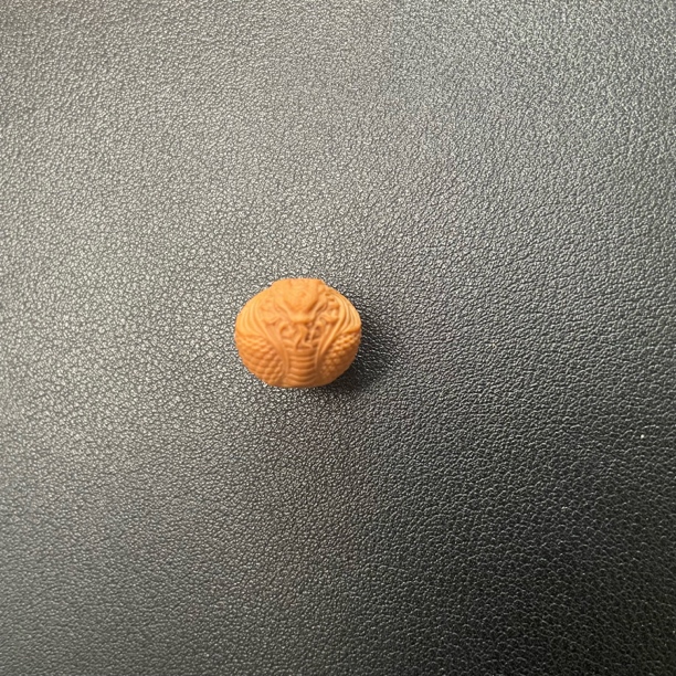 精品猴头雕刻双影蛇王单颗16+尺寸
