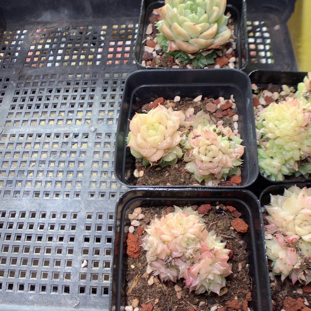 V91t y y y y y y y y y y y y